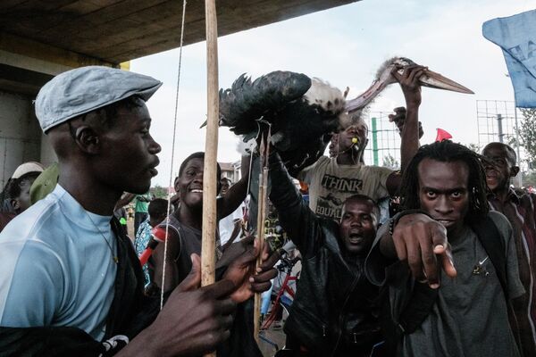 Сторонники кандидата в президенты Раилы Одинги протестуют против результатов выборов в Кении - Sputnik International