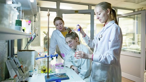 Young scientists of the laboratory Biomedical nanomaterials NITU MISIS - Sputnik International