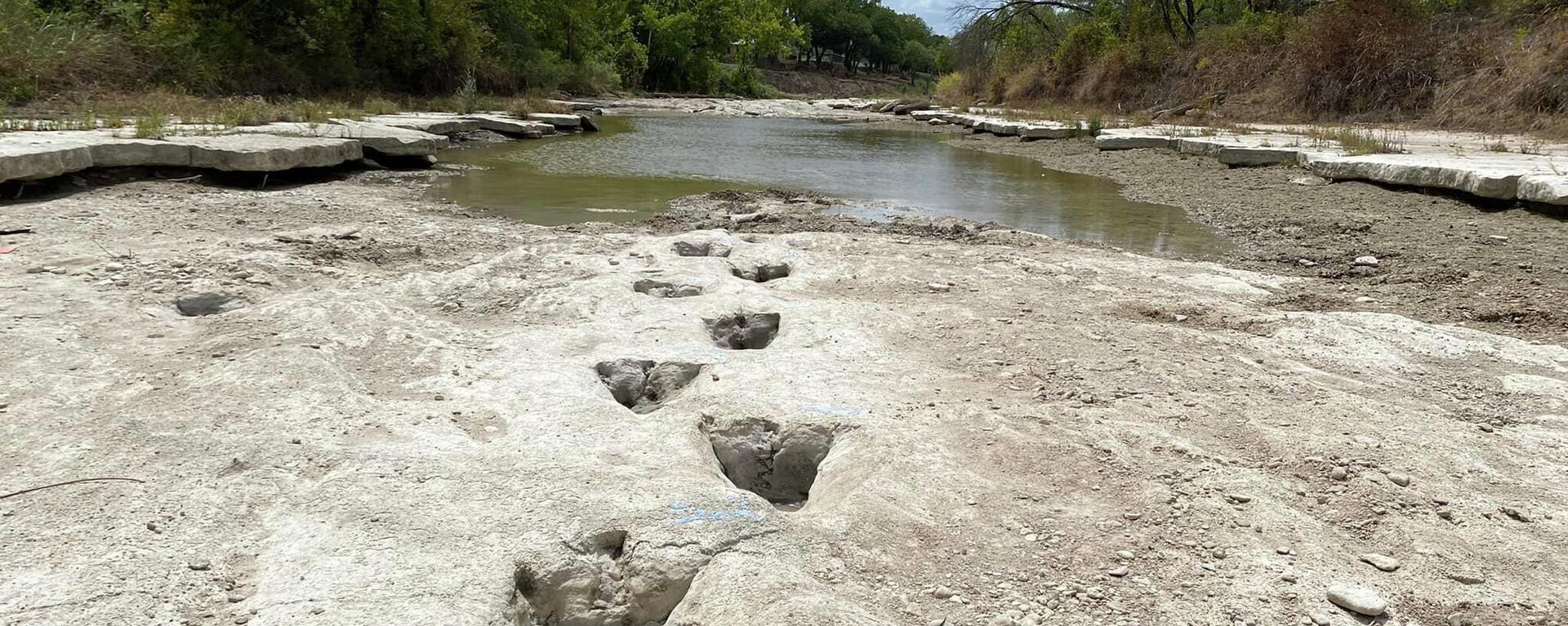 This handout image obtained on August 23, 2022 courtesy of the Dinosaur Valley State Park shows dinosaur tracks from around 113 million years ago, discovered in the Texas State Park after a severe drought conditions that dried up a river - Sputnik International, 1920, 24.08.2022