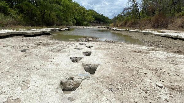 This handout image obtained on August 23, 2022 courtesy of the Dinosaur Valley State Park shows dinosaur tracks from around 113 million years ago, discovered in the Texas State Park after a severe drought conditions that dried up a river - Sputnik International