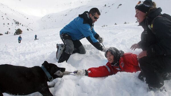 Учения по поиску людей после схода лавины на горнолыжном курорте Пучмаль в Восточных Пиренеях - Sputnik International