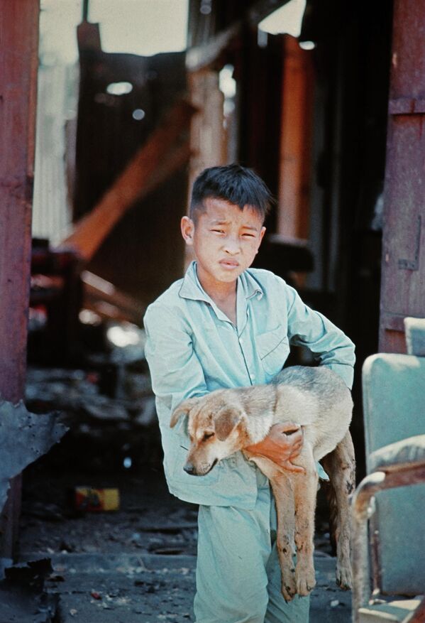 Мальчик с собакой на улице Кванг-Тунга во время войны во Вьетнаме, 1967 год - Sputnik International