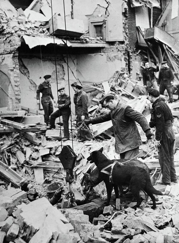 Британские солдаты со спасательными собаками ищут жертв среди разрушенного здания после авианалета на Лондон во время Блица в 1941 году - Sputnik International