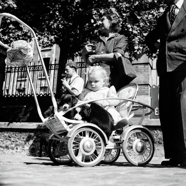 Младенец в коляске с щенком, Париж, 1949 год - Sputnik International