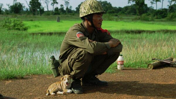 Солдат с бездомным щенком недалеко от северной границы Камбоджи с Таиландом - Sputnik International
