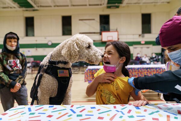 Собака-терапевт Уотсон из полицейского управления Потакета помогает девочке вытерпеть прививку от COVID-19 в начальной школе Натанаэля Грина в Потакете, США - Sputnik International