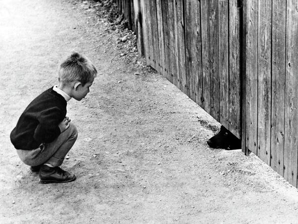A 1961 photo shows a boy looking at a dog sticking its head out from the fence. - Sputnik International