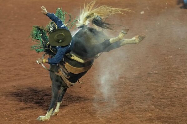 A cowboy battles to stay atop a horse during horse riding competition at the Barretos Rodeo International Festival in Barretos, Sao Paulo state Brazil, Friday, Aug. 26, 2022. - Sputnik International