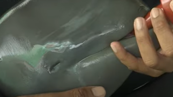 Rescued baby dolphin - Sputnik International