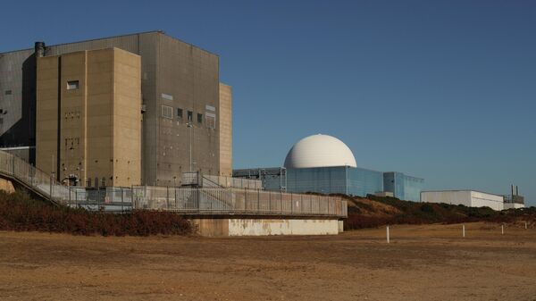  - Sputnik International