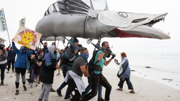 A giant puppet of a Snoek, a type of common local Mackeral, is displayed as hundreds of people take part in a protest against the plan by Dutch oil company Shell to conduct underwater seismic surveys along South Africa's East coast, at Muizenberg Beach, in Cape Town, on December 05, 2021 - Sputnik International