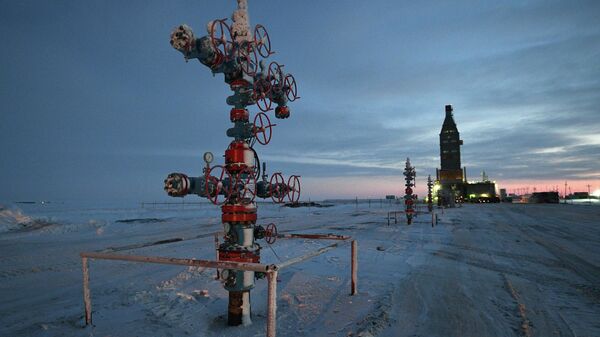Oil and gas condensate field in Tazovsky District of Yamalo-Nenets Autonomous Okrug - Sputnik International