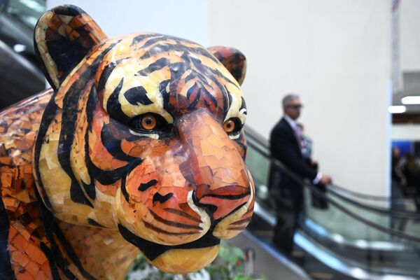 The figure of the Amur tiger at the Eastern Economic Forum in Vladivostok. - Sputnik International