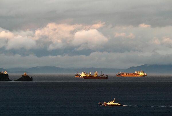 Ships in the vicinity of Vladivostok - Sputnik International
