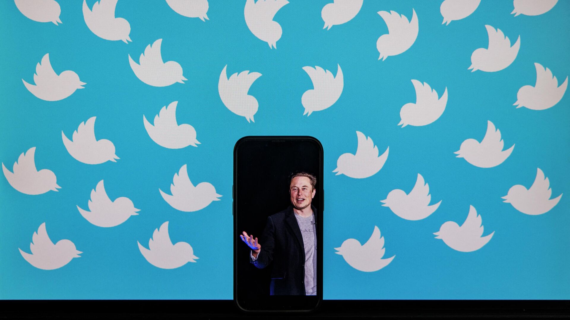 (FILES) This file illustration photo taken on August 5, 2022 shows a cellphone displaying a photo of Elon Musk placed on a computer monitor filled with Twitter logos in Washington, DC.  - Sputnik International, 1920, 13.09.2022