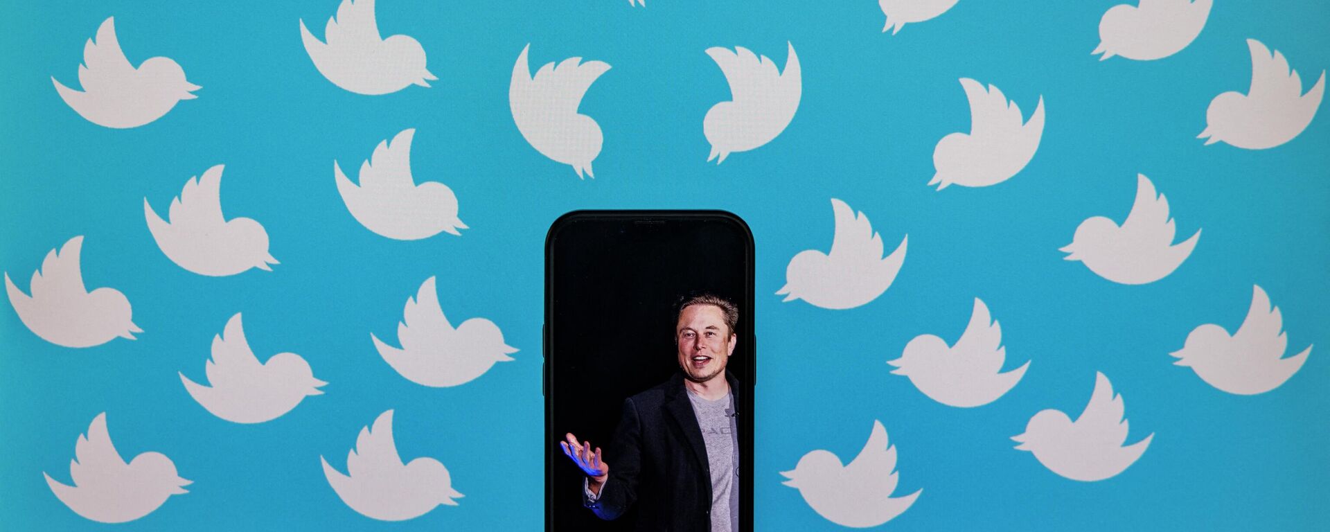 (FILES) This file illustration photo taken on August 5, 2022 shows a cellphone displaying a photo of Elon Musk placed on a computer monitor filled with Twitter logos in Washington, DC.  - Sputnik International, 1920, 13.09.2022