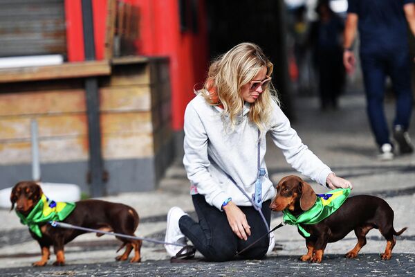 Сторонник президента Бразилии Жаира Болсонару с двумя собаками в Рио-де-Жанейро  - Sputnik International