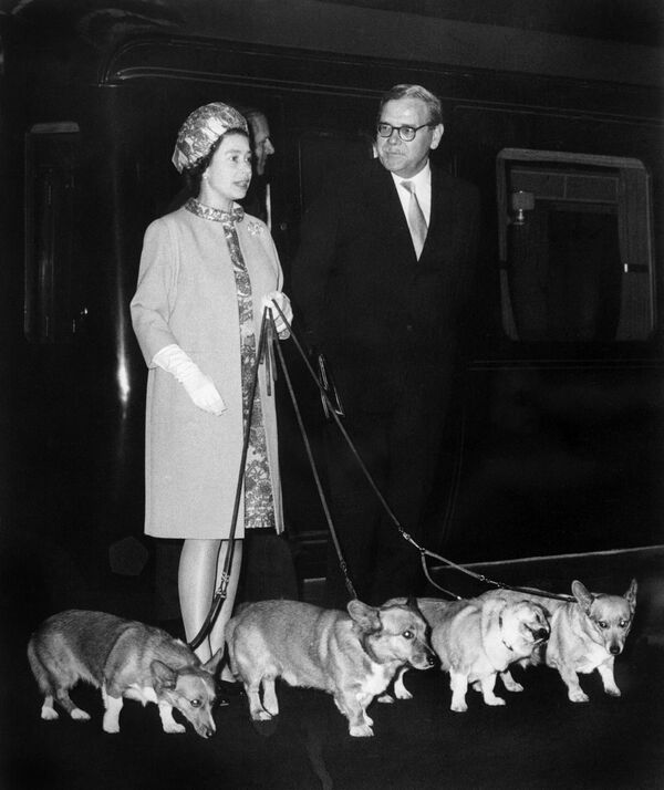 Queen Elizabeth II at King&#x27;s Cross Station in London with her four corgi dogs. - Sputnik International