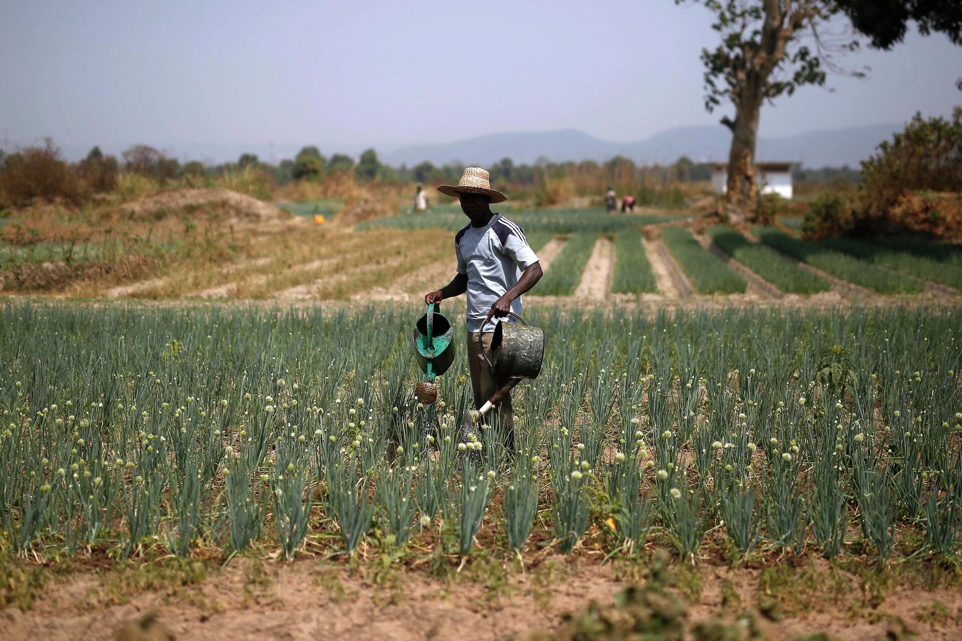 A man waters his field of onions outside  Bangui, Central African Republic,  Thursday Feb. 11, 2016. The U.N. World Food Program estimates that nearly half the country _ 2.5 million people _ are facing hunger as  more than two years of violence has severely disrupted the country’s agriculture and health care sectors.Two former prime ministers,  Touadera and  Anicet Georges Dologuele, are running neck-and-neck in the second round of presidential elections Sunday Feb. 14  to end years of violence pitting Muslims against Christians in the Central African Republic. (AP Photo/Jerome Delay) - Sputnik International, 1920, 10.09.2022