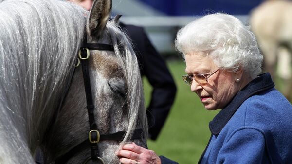 (FILES) In this file photo taken on May 13, 2011 Britain's Queen Elizabeth II strokes one of her horses during the Royal Windsor Horse Show in Windsor, Berkshire.  - Sputnik International