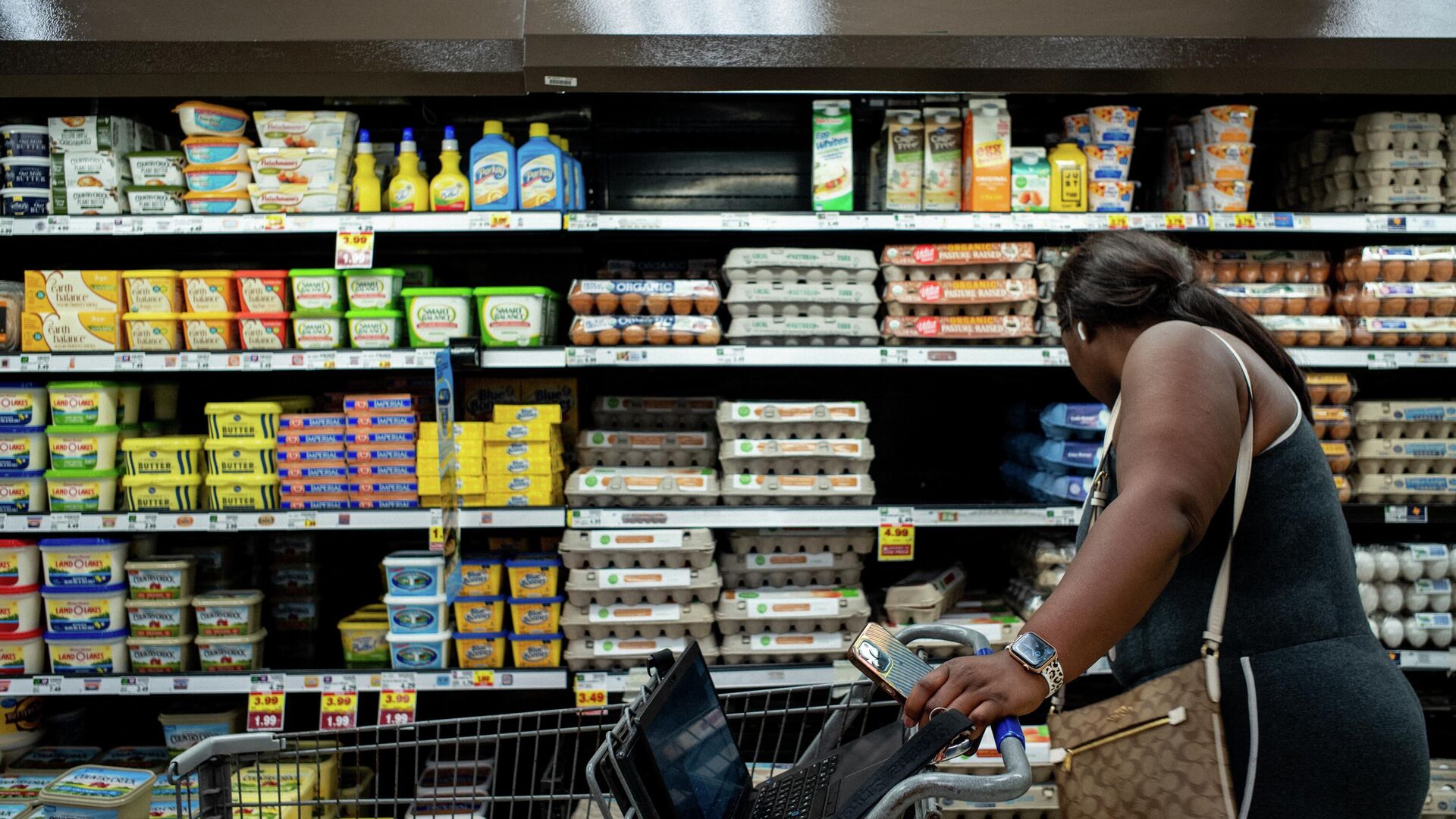 HOUSTON, TEXAS - AUGUST 15: A customer shops for eggs in a Kroger grocery store on August 15, 2022 in Houston, Texas. Egg prices steadily climb in the U.S. as inflation continues impacting grocery stores nationwide.  - Sputnik International, 1920, 13.09.2022