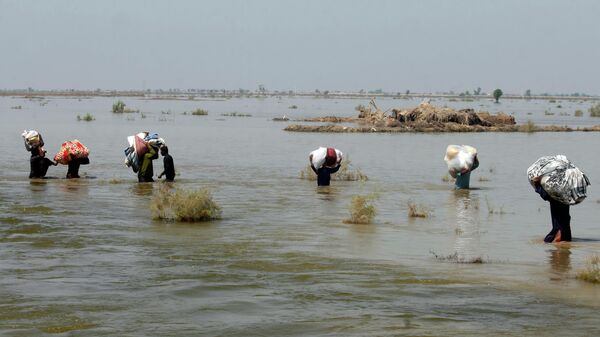 FILE - Victims of heavy flooding from monsoon rains crowd carry relief aid through flood water in the Qambar Shahdadkot district of Sindh Province, Pakistan, Sept. 9, 2022 - Sputnik International