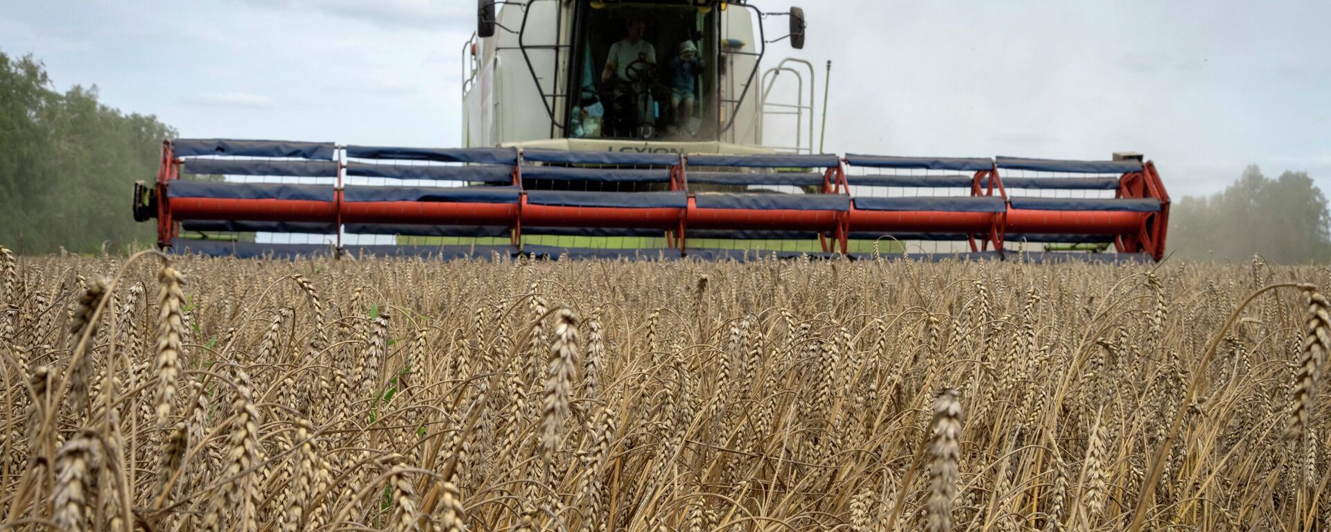 A harvester collects wheat in an Ukrainian village. File photo  - Sputnik International, 1920, 14.03.2023