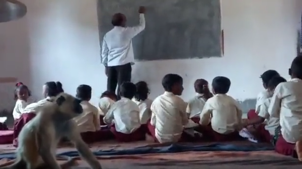 Screenshot from a video showing a monkey attending classes in an Indian school - Sputnik International