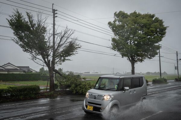 Автомобиль проезжает мимо поваленного дерева во время приближения тайфуна Нанмадол в Идзуми, префектура Кагосима, Япония - Sputnik International