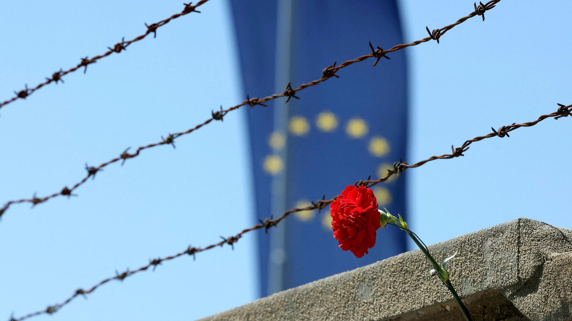 A red carnation is seen in front of a barbed wire fence and an EU flag - Sputnik International, 1920, 23.09.2022