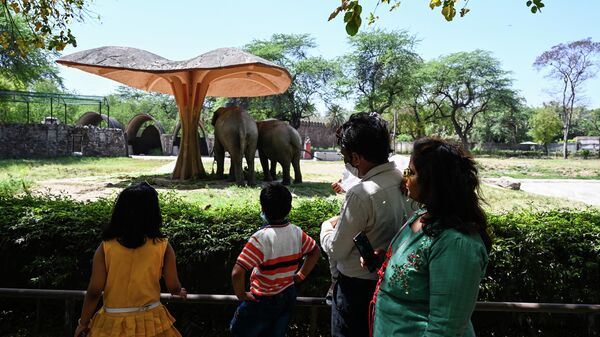 People visit the National Zoological Park in New Delhi on April 1, 2021, on the first day of its reopening over a year after being closed to the public due to the Covid-19 coronavirus pandemic. - Sputnik International