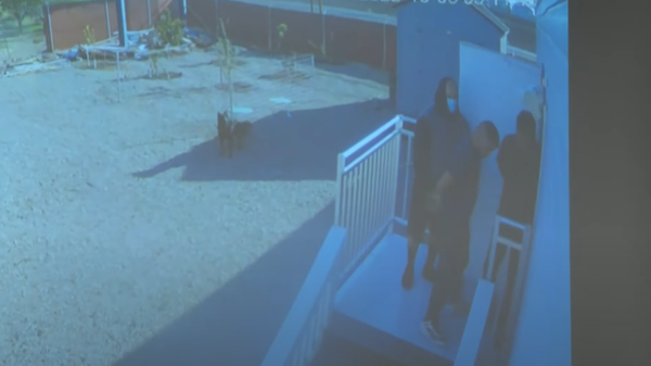 Screenshot from a video showing family of four being taken at gunpoint and kidnapped in California - Sputnik International