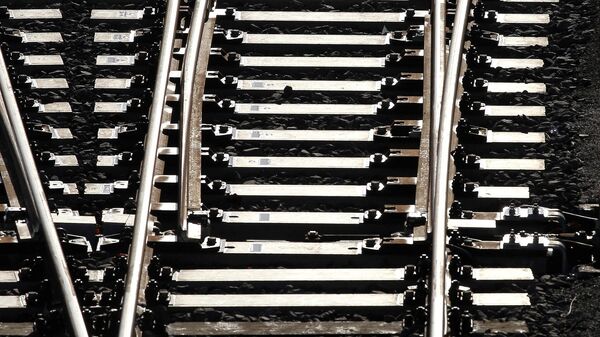 Railroad tracks are pictured at a depot in Mannheim, southwestern Germany, on February 23, 2022. - Sputnik International