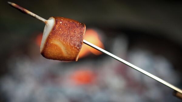 Toasted marshmallow - Sputnik International