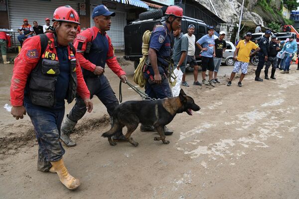 Rescuers with a dog participate in the search for victims or survirvors of a landslide that washed away dozens of homes during heavy rains in Las Tejerias, Aragua state, Venezuela, on October 9, 2022. - Sputnik International