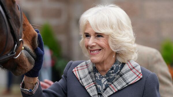 Britain's Camilla, Queen Consort pats a horse as she attends a reception to thank the community of Aberdeenshire for their organisation and support following the death of Queen Elizabeth II at Station Square, the Victoria & Albert Halls, in Ballater, on October 11, 2022. - Sputnik International