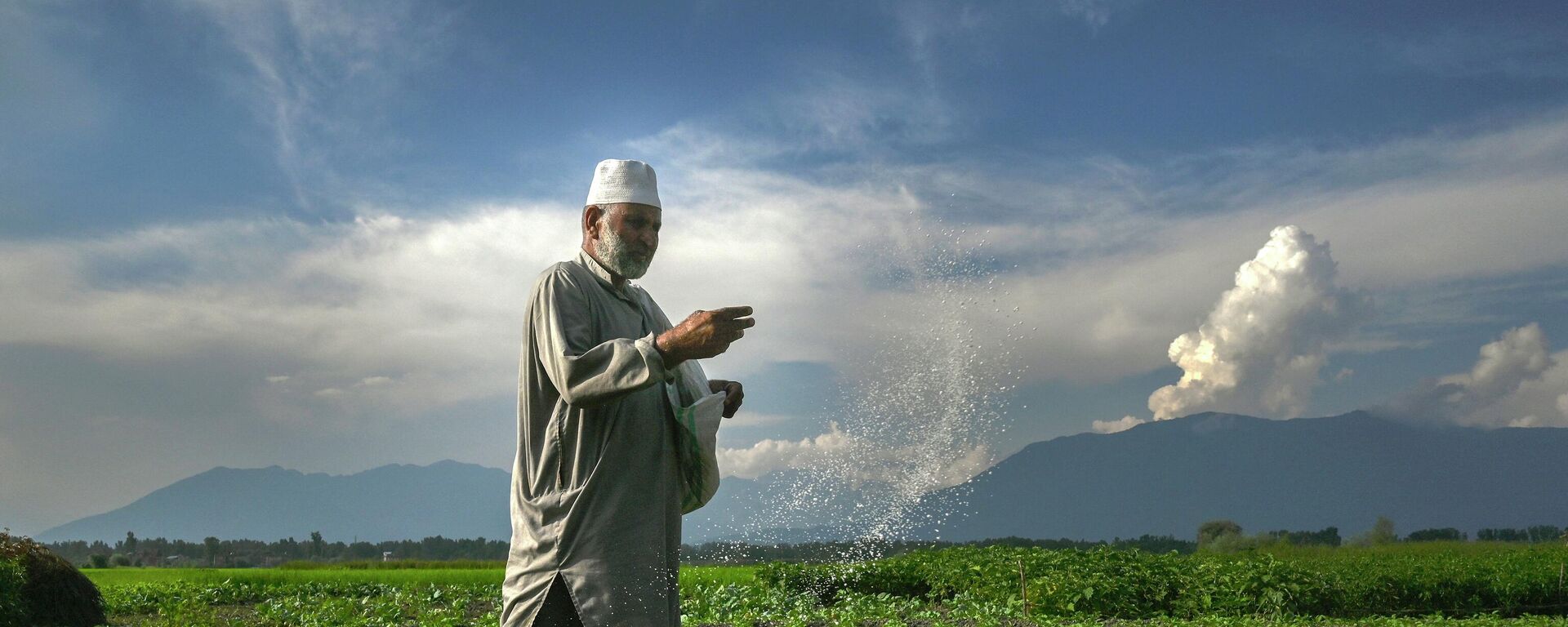 A farmer sprays fertilizer at a farm in the outskirts of Srinagar on July 19, 2022. - Sputnik International, 1920, 02.11.2022