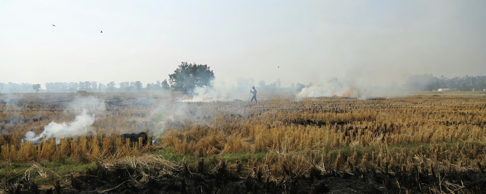 An Indian farmer burns crop stubble after harvesting paddy near the India-Pakistan international border, in Ranbir Singh Pura, India, Wednesday, Nov.28, 2018. - Sputnik International, 1920, 24.10.2022