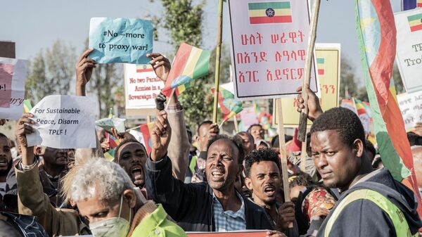 People gather in Addis Ababa, Ethiopia, on October 22, 2022 during a demonstration in support of Ethiopia armed forces - Sputnik International