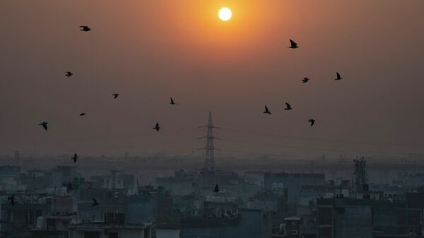 Birds fly in the foreground of rising sun as morning haze envelops the skyline in New Delhi, India, Tuesday, Oct. 25, 2022. - Sputnik International