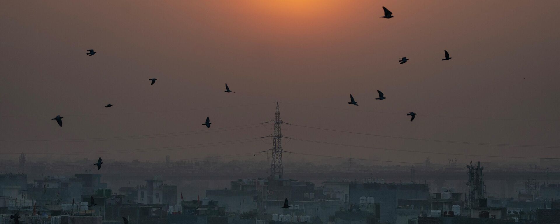 Birds fly in the foreground of rising sun as morning haze envelops the skyline in New Delhi, India, Tuesday, Oct. 25, 2022. - Sputnik International, 1920, 14.11.2022