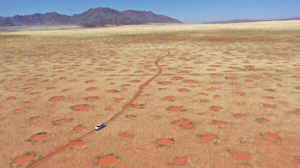 Drone image of car driving through the NamibRand Nature Reserve, one of the fairy-circle regions in Namibia where the researchers undertook grass excavations, soil-moisture and infiltration measurements (April 2022).
 - Sputnik International