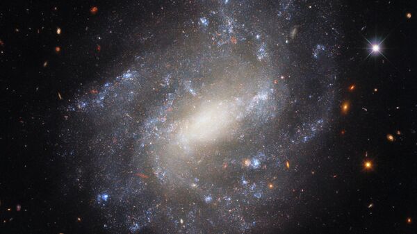 Image of spiral galaxy UGC 9391 taken by Hubble Space Telescope’s Wide Field Camera 3 - Sputnik International