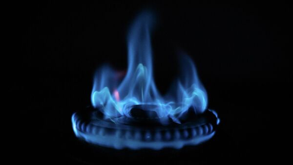 Blue and red gas flames on a kitchen gas stove are pictured in Copenhagen, Denmark, on May 16, 2022.  - Sputnik International