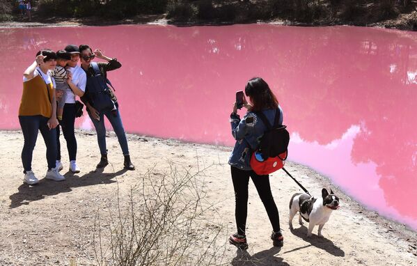 A woman and her dog pose beside a lake that has turned a vivid pink thanks to extreme salt levels, further exacerbated by hot weather in a startling natural phenomena that resembles a toxic spill, in Melbourne on March 4, 2019. - The natural spectacle is the result of green algae at the bottom of the lake at Westgate Park on the outskirts of Melbourne responding to high levels of salt and changing color.  - Sputnik International