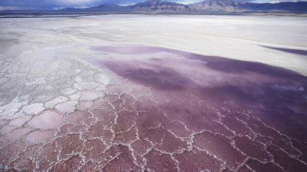 Pink water washes over a salt crust on May 4, 2021, along the receding edge of the Great Salt Lake. - Sputnik International
