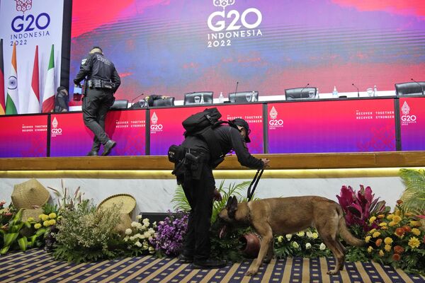 Сотрудник президентских сил безопасности проверяют место проведения саммита лидеров G20 в Нуса Дуа, Бали - Sputnik International