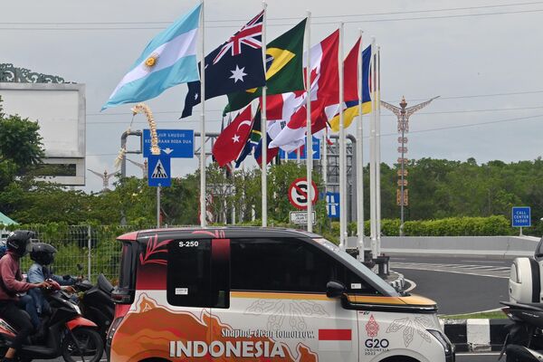 Флаги стран-членов G20 развеваются в преддверии саммита G20 в Нуса Дуа, Бали - Sputnik International