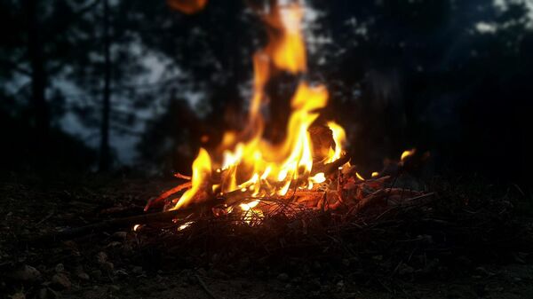 Campfire - Sputnik International
