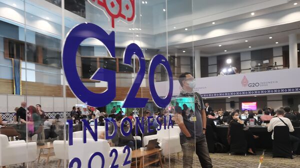 G20 Summit in Indonesia - Sputnik International